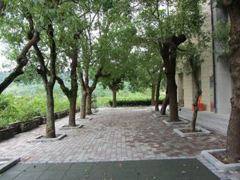 http://163.22.136.253/schoolweb/enviroedu/index.files/image048.jpg