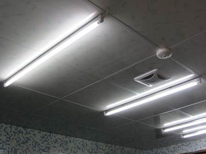 http://163.22.136.253/schoolweb/enviroedu/index.files/image072.jpg
